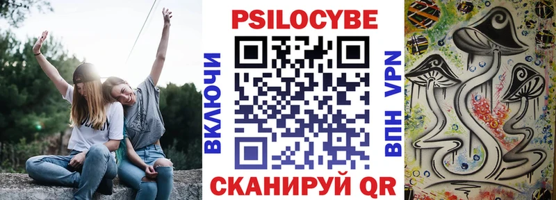 дарнет шоп  Сосновый Бор  Псилоцибиновые грибы Cubensis 