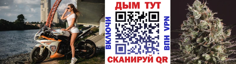 Марихуана план  Сосновый Бор 